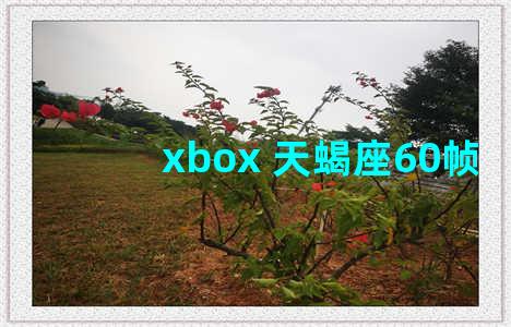 xbox 天蝎座60帧